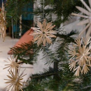 Sternsingeraktion 2020, Pfarre Neumarkt im Mühlkreis