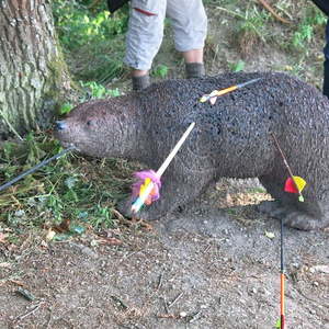 Bogenschießen Männerrunde