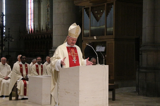 Bischof Scheuer bei seiner Predigt. / © Diözese Linz / Fürlinger Bischof Scheuer bei seiner Predigt.