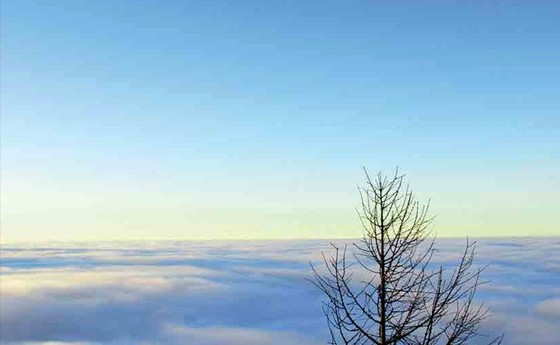 über den Wolken