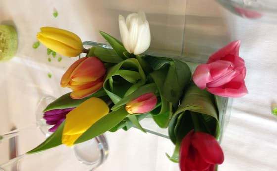 Frühlingsblumen im Haus der Frau