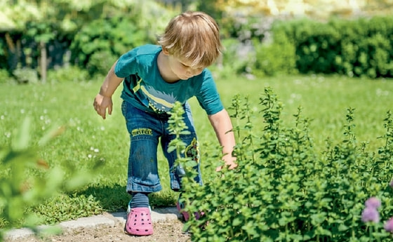 Kinder im Haus der Frau Garten