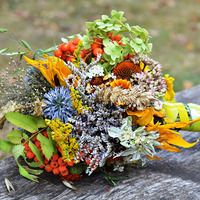 Kräuter-Blumenstrauß / © utroja0/pixabay.com/CC0 1.0 Kräuter-Blumenstrauß