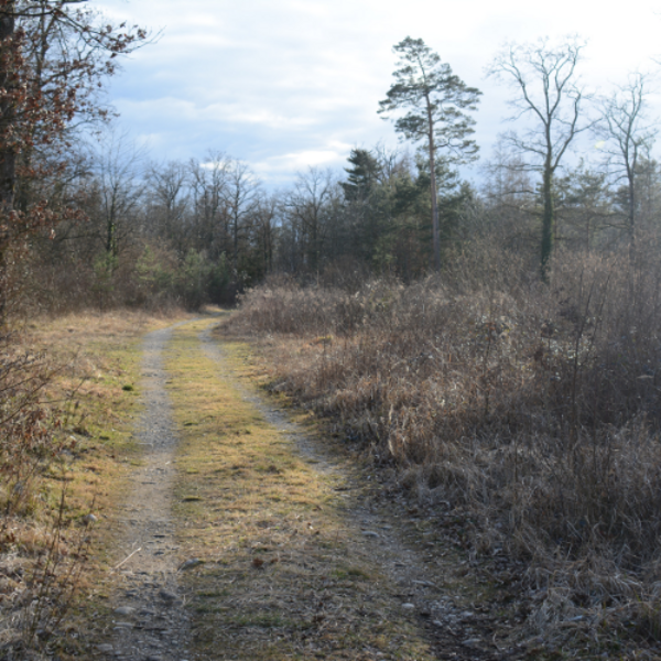 Heidewald Schieferegg - Umweltarbeit in der Diözese Linz