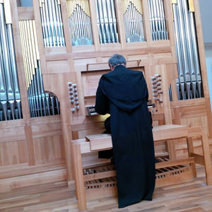 Orgel im Studentenheim (Rohl-Orgel) - Cantina Muri - Gries