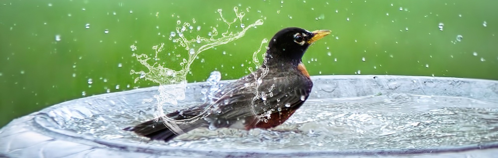 Umweltarbeit der Diözese Linz