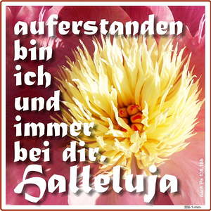 Textbilder für den Jahreskreis der Kirche