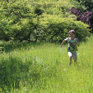 Die Schnitzeljagd der Jungschar auf dem Freinberg