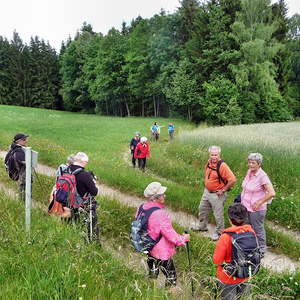 des Männerstammtisches
