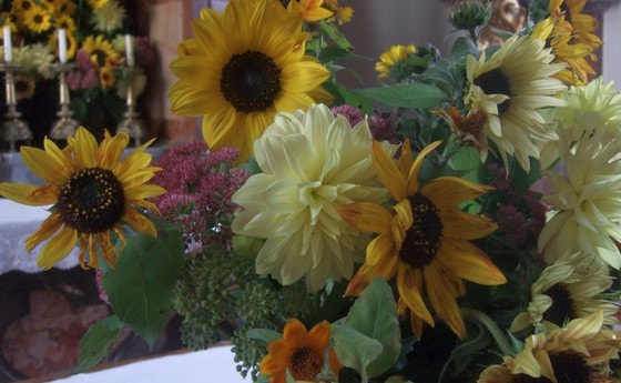 Erntedankfest und Ehejubiläen 2008