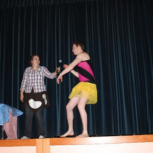 Almrausch am Froschberg