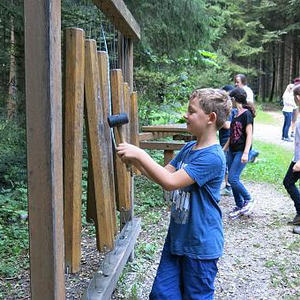 Naturerlebnisweg Pfarrwald Vöcklabruck