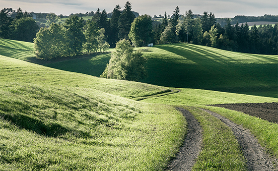 Granitpilgern Weg