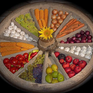 Halbtagesausflug der Senioren