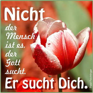 Textbilder für den Jahreskreis der Kirche