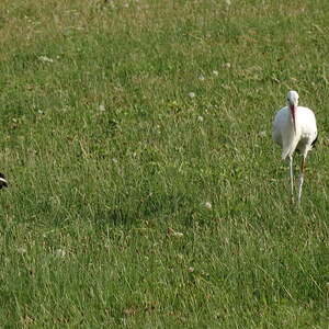 kfb Ausflug 2015, Pfarre Neumarkt im Mühlkreis