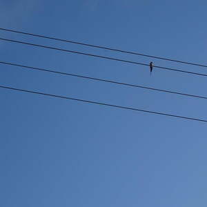 Bittgang in Ernsting mit anschließender Messe
