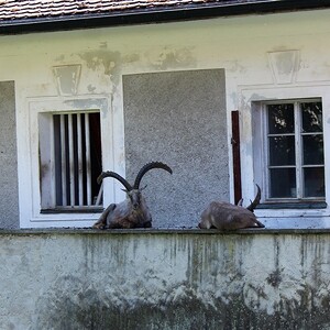 Betriebsausflug 2021