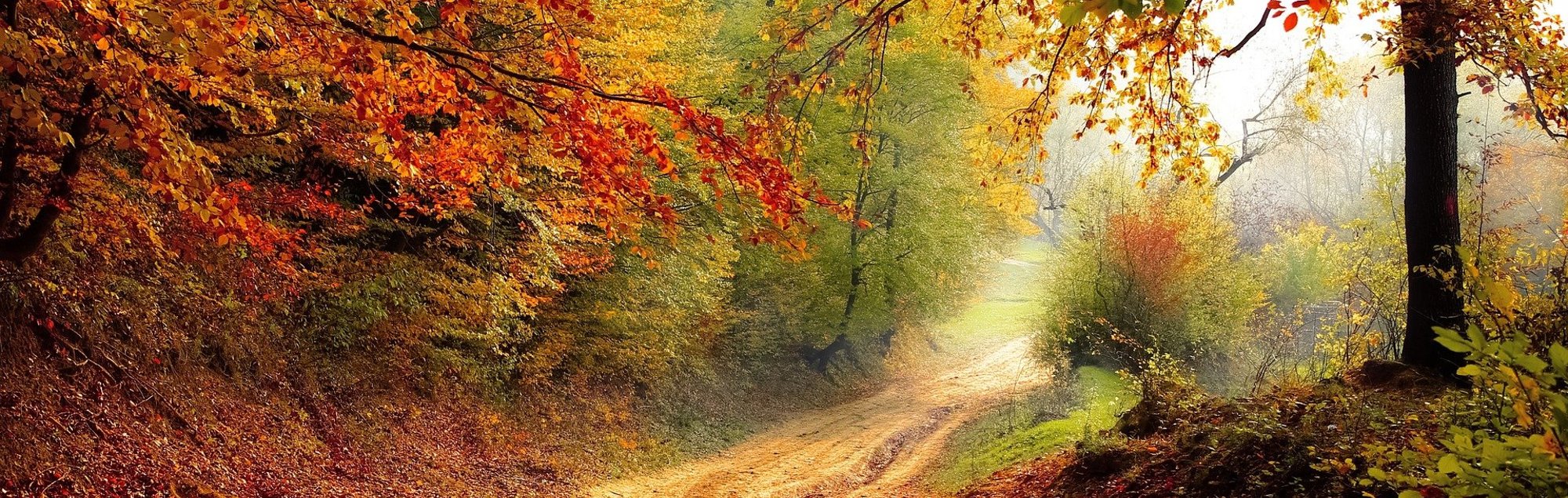 Herbst