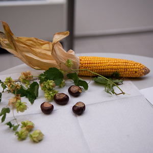 Erntedank Burgkirchen