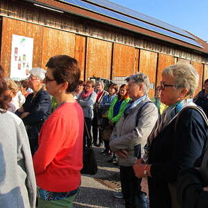 kfb Ausflug 2017 Pfarre Neumarkt im Mühlkreis