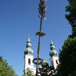 Maibaum Pfarre Maria Puchheim