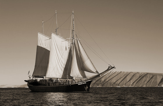 Schiffsreise nach Köln - Symbolbild / © Lurens/pixabay.com/CC0 1.0 Schiffsreise nach Köln - Symbolbild