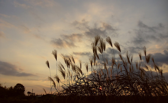 Katholische Frauenbewegung Österreichs trauert um Barbara Prammer