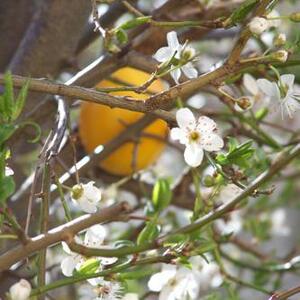 Osternacht und Ostersonntag 