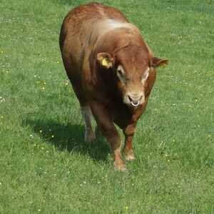 meditative Pilgerwanderung 28.4.18