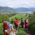 Pilgern auf dem Wolfgangweg