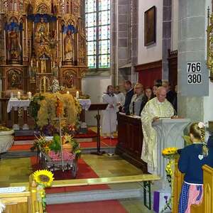 Predigt-Pfarrer Etzlstorfer