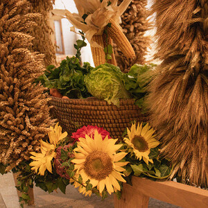 240 Jahre Pfarre Hagenberg