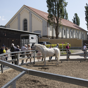 Pilgerreise Stmk - Tag 2