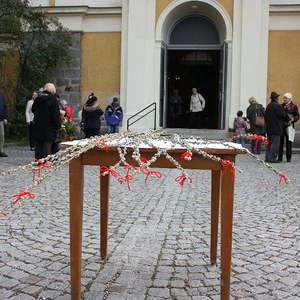 Palmsonntag in St. Quirinus