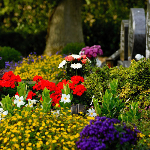 Friedhof