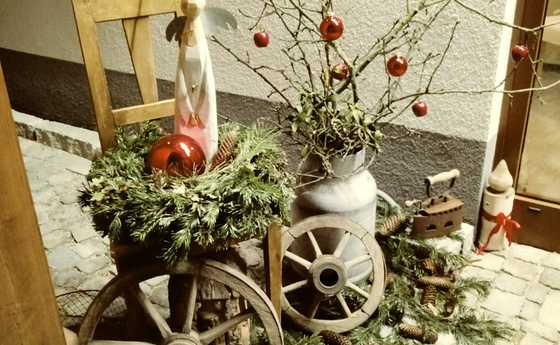 „Gegen alles ist ein Kraut gewachsen“ in Hartkirchen