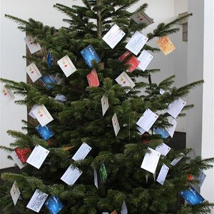 Weihnacht mit Kindern