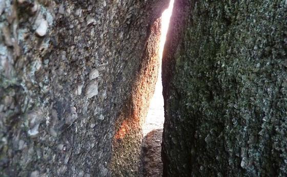 Symbolbild für Pfarrbrief Ostern 2020