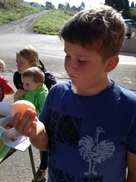 © Bibliothek Michaelnbach