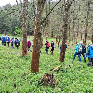 Fußwallfahrt nach Maria Trost, Pfarre Sarleinsbach