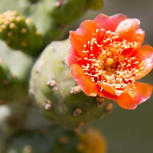 Bibelschule in Israel