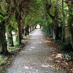 St. Radegund