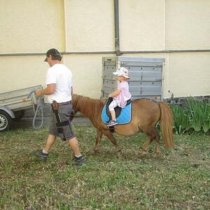 Sonntag, 30. Juni 2019