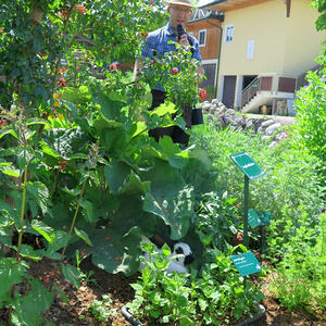 Ausflug der KFB Ottnang