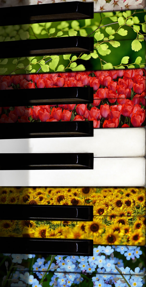 Linzer Orgelfrühling 2017