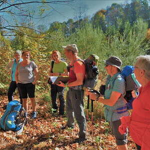 14. bis 15 Okt. 2017