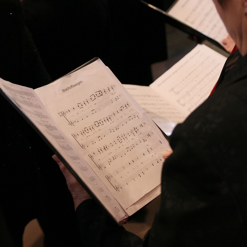 Programm Frühjahr - Sommer 2025