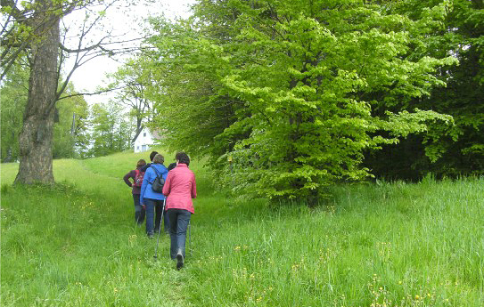 Wanderung / Leitner KFB Putzleinsdorf Wanderung