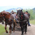 Jugendaustausch in Rumänien